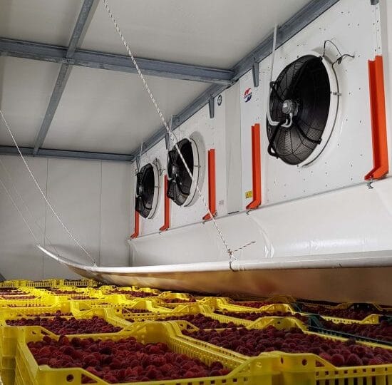 Izrada hladnjača i komora Kragujevac Srbija