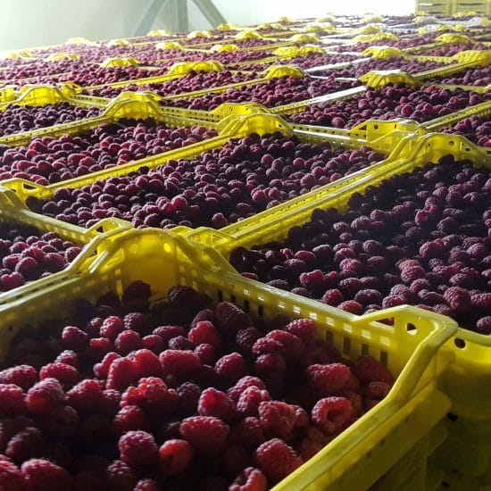 Izrada hladnjača i komora Kragujevac Srbija