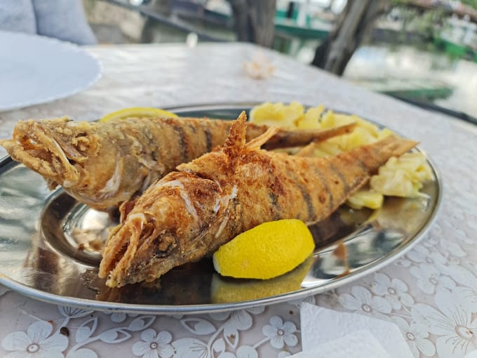 Odranski Ribič Najbolji riblji restoran Sremska Kamenica | e-usluga