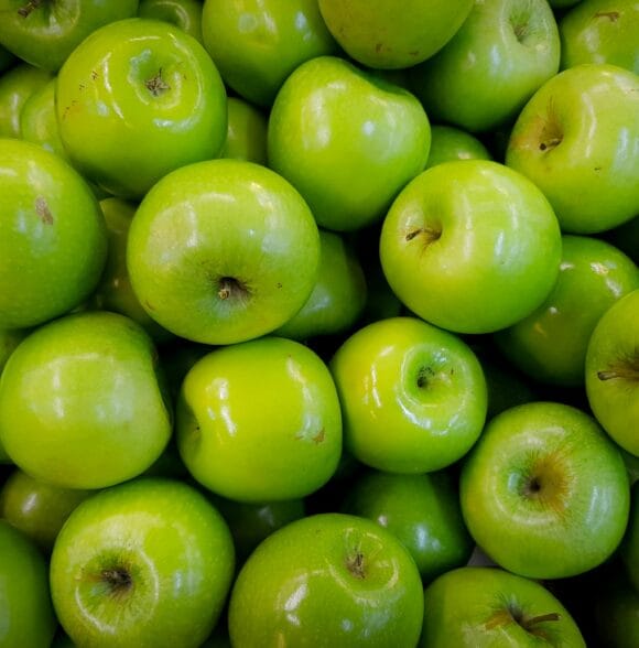 Sezonske berbe voća Novi Sad i Zaječar