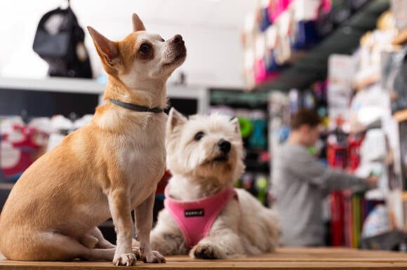 Poljoprivredna apoteka i pet shop Novi Slankamen Inđija