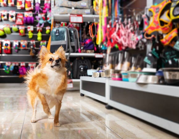 Poljoprivredna apoteka i pet shop Novi Slankamen Inđija