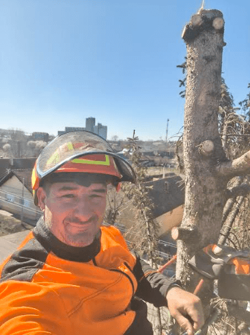 Održavanje okoline Vrbas