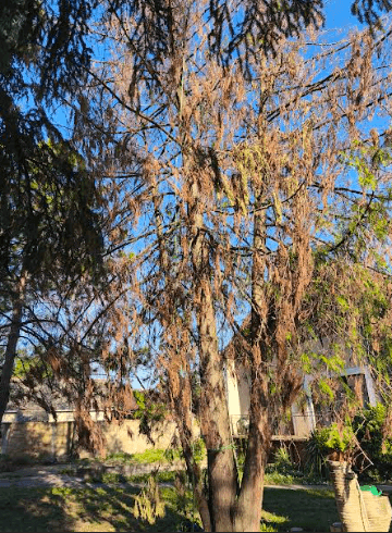 Održavanje okoline Vrbas