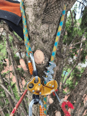 Održavanje okoline Vrbas