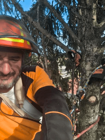 Održavanje okoline Vrbas