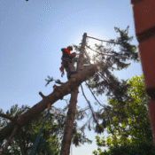 Održavanje okoline Vrbas