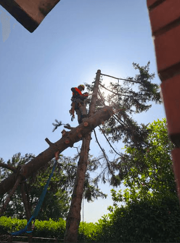 Održavanje okoline Vrbas