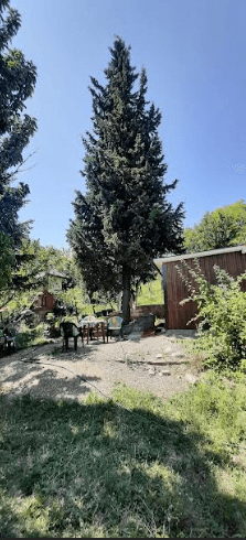 Održavanje okoline Vrbas