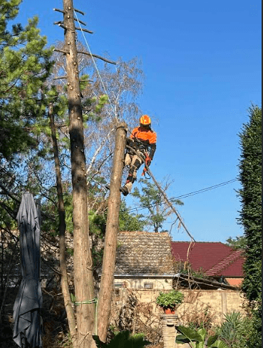 Održavanje okoline Vrbas