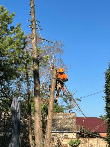 Održavanje okoline Vrbas