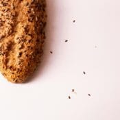 Slatka i slana peciva pice pite Aleksinac