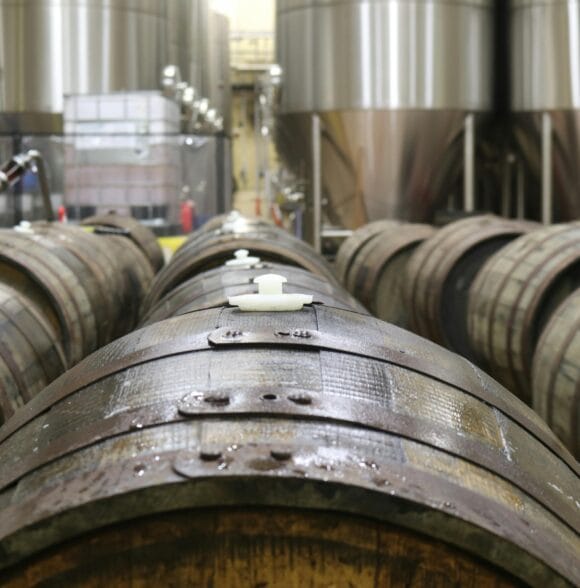 Prerada voća i proizvodnja jakih alkoholnih pića Blace