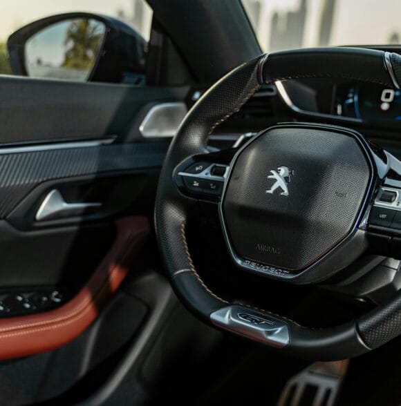 Servis za francuska vozila Novi Banovci