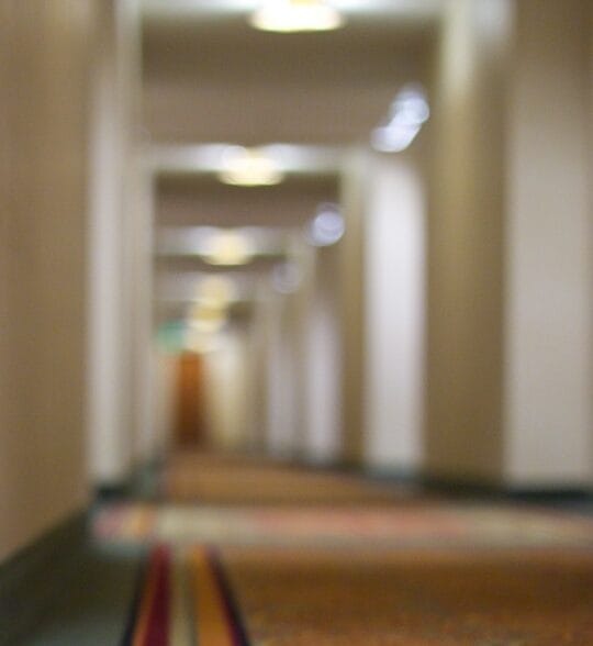 Agencija za profesionalno čišćenje Čačak