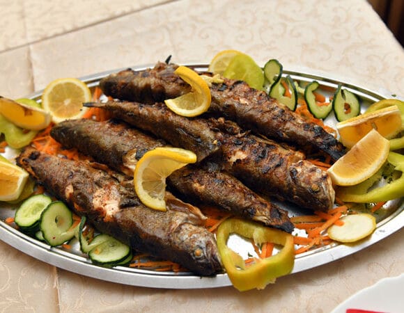 Najbolji restoran Kuršumlija