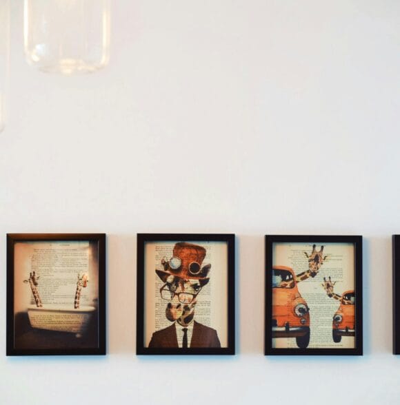 Prodavnica kućne dekoracije Novi Sad