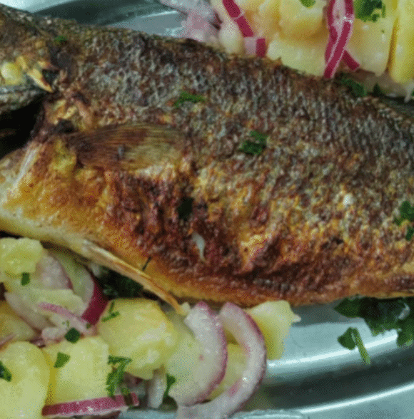 Sveža i pečena morska i rečna riba Voždovac