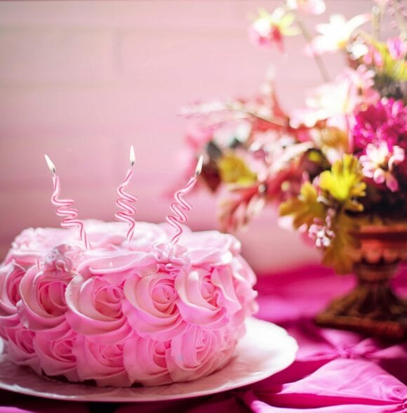 Najbolje torte i kolači Novi Sad