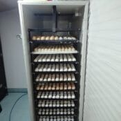 Inkubatori proizvodnja i servis Požarevac