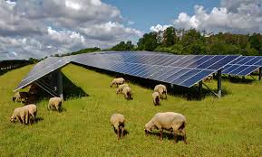 Projektovanje solarnih elektrana Sjenica