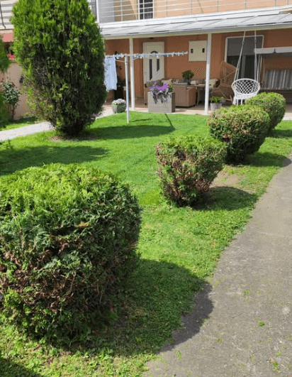 Košenje trave i uređivanje dvorišta Dedinje