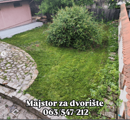 Košenje trave i uređivanje dvorišta Dedinje