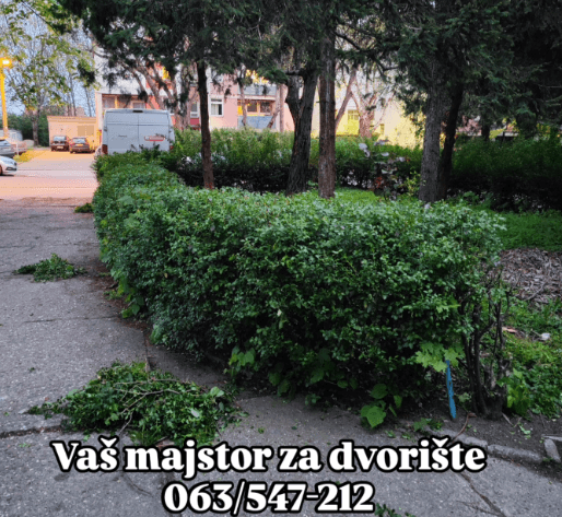 Košenje trave i uređivanje dvorišta Dedinje