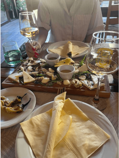 Restoran i izdavanje soba Vrdnik
