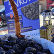 Sušenje i prodaja suve šljive Koceljeva